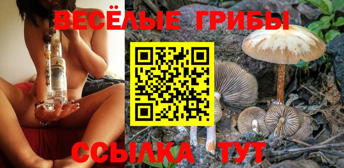Галлюциногенные грибы прущие грибы  магазин    Татарск  Вход с VPN 