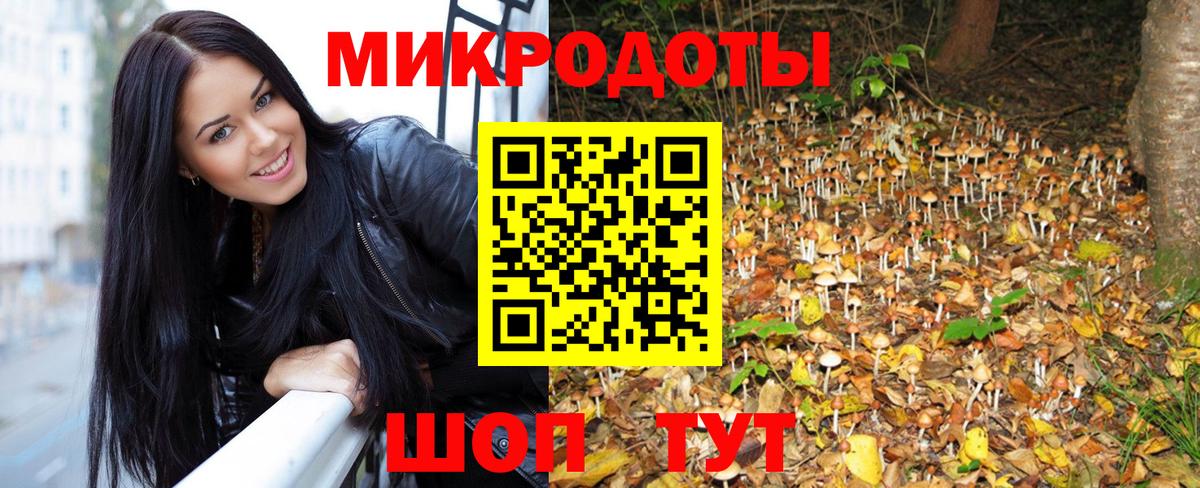 Галлюциногенные грибы прущие грибы Татарск